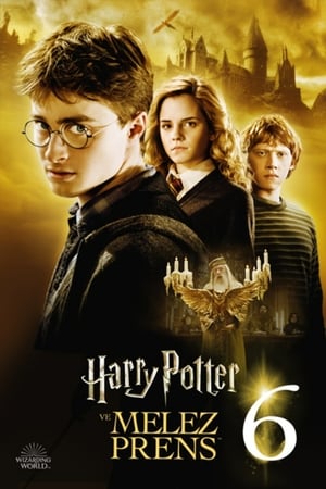 Harry Potter ve Melez Prens 2009 izle