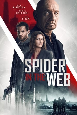 Spider in the Web Full izle
