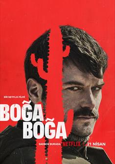 Boğa Boğa